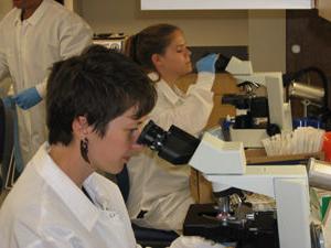 学生在实验室观察显微镜下的血液学切片.