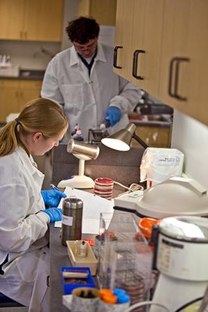 学生在学生实验室中进行微生物培养.