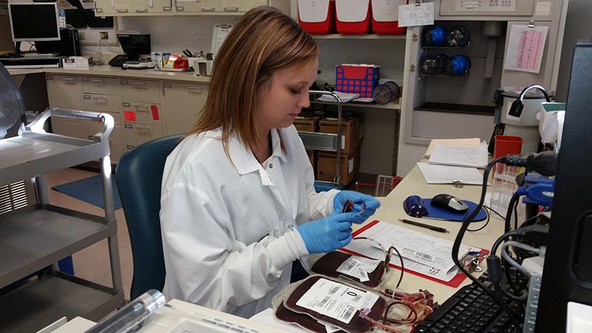 Student performing a crossmatch during her blood band clinical rotation